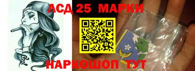 индика Обь