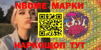 индика Обь