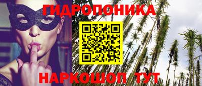 ешки Обнинск