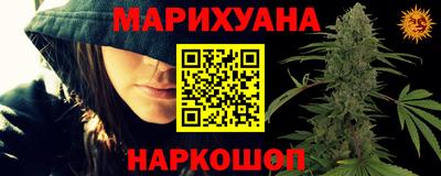 индика Обь