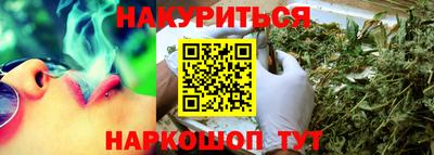 индика Обь