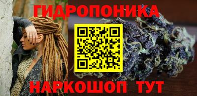 индика Обь
