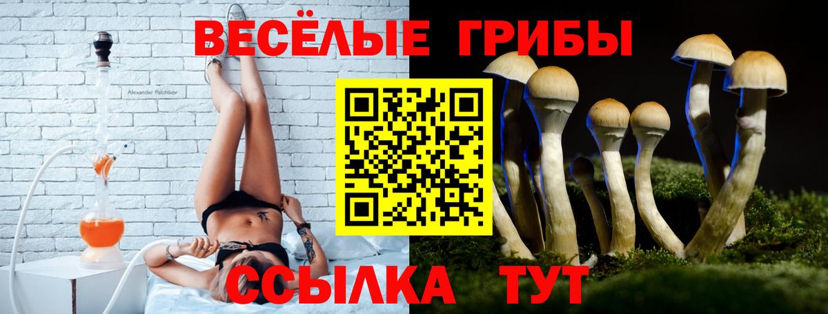 Советская Гавань  Псилоцибиновые грибы мухоморы  хочу наркоту  Вход с VPN 